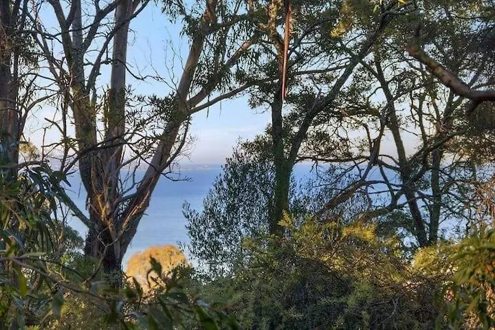Treetops-Large Home 9Km To Cbd Sleeps 10 Хобарт 0*,  Австралия